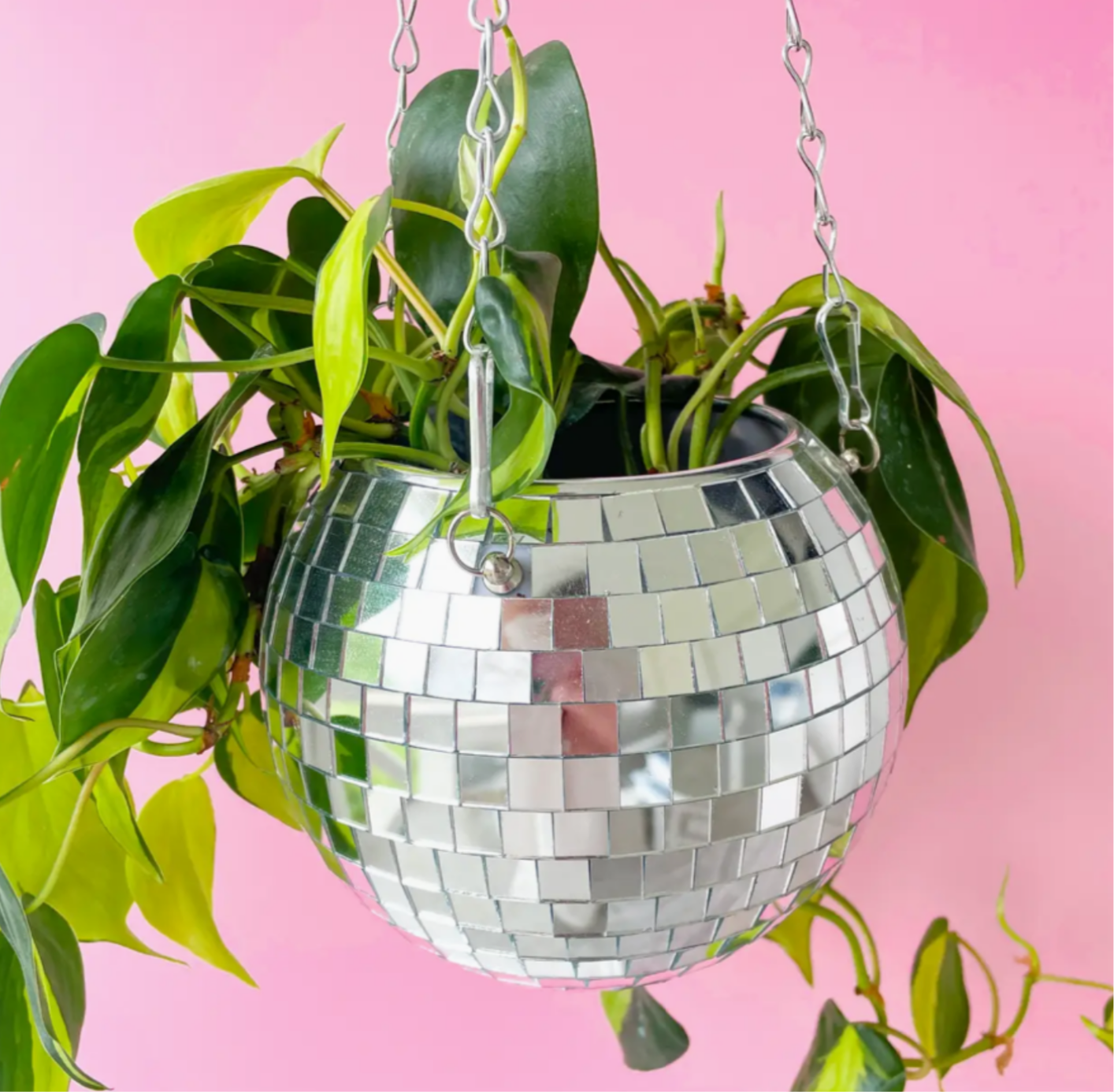 Disco Ball 6" Hanging Planter