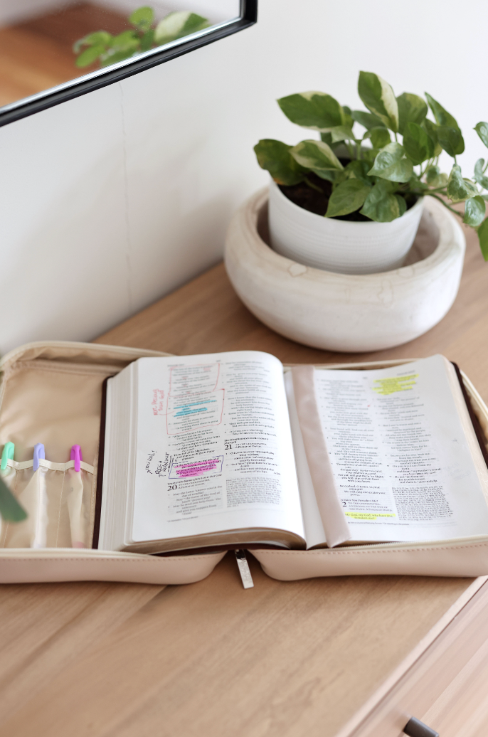 Bible Cover- More Than Able Color Block (Tan/cream/pink)