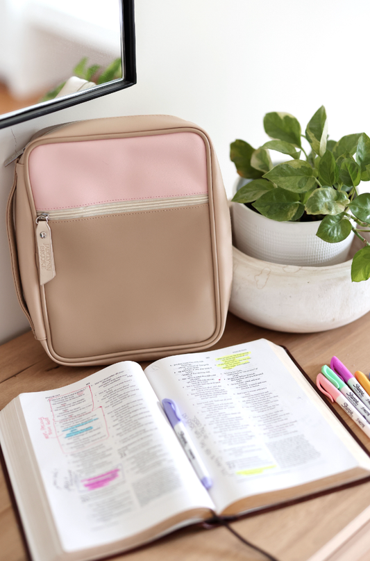 Bible Cover- More Than Able Color Block (Tan/cream/pink)