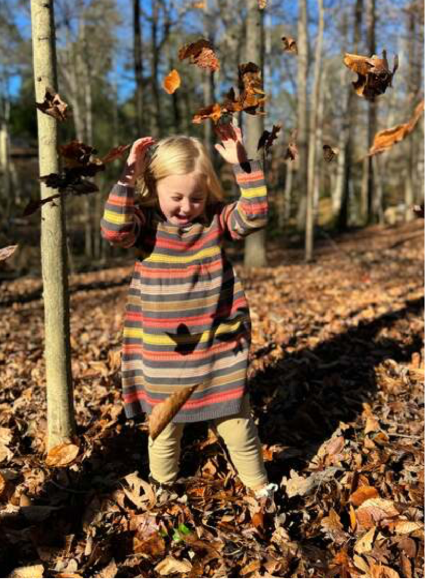 Joanna Stripped Long Sleeve Dress - Toddler