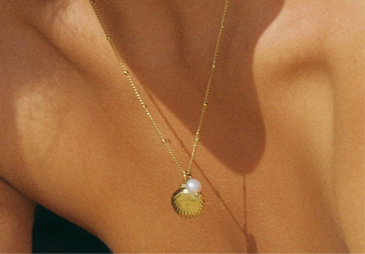 Seashell Necklace